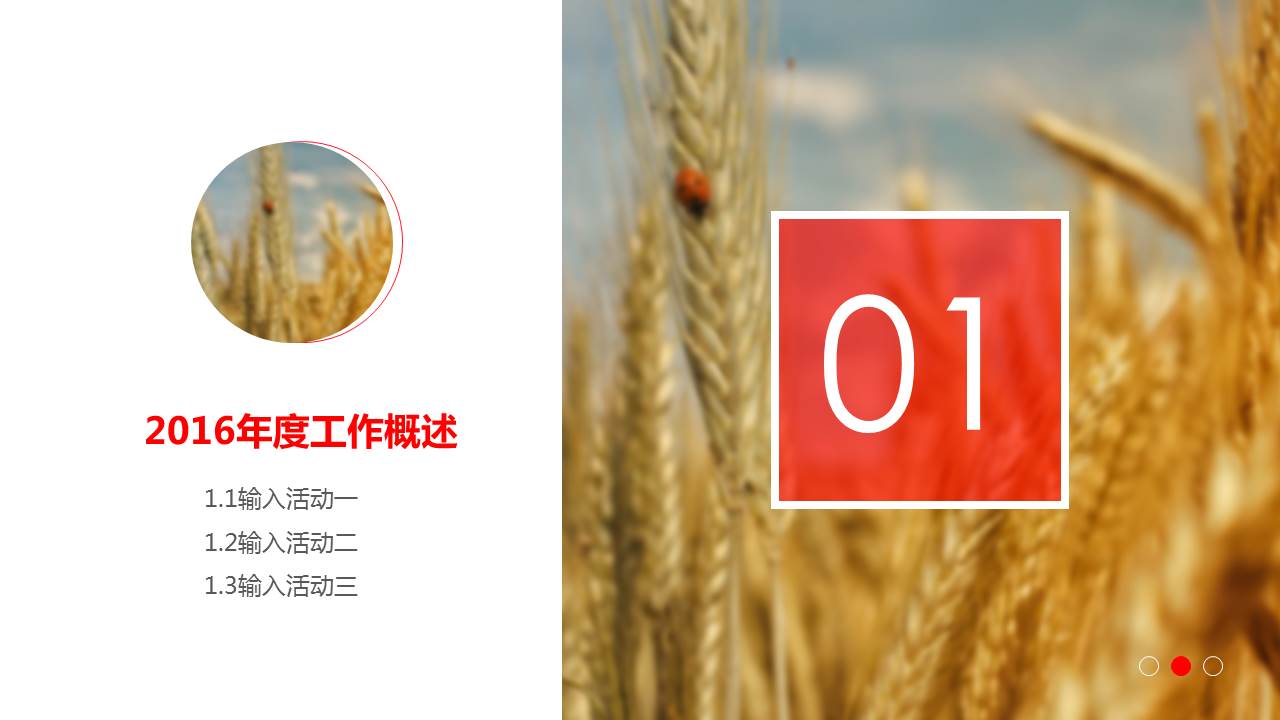 2017个人年终总结ppt模板