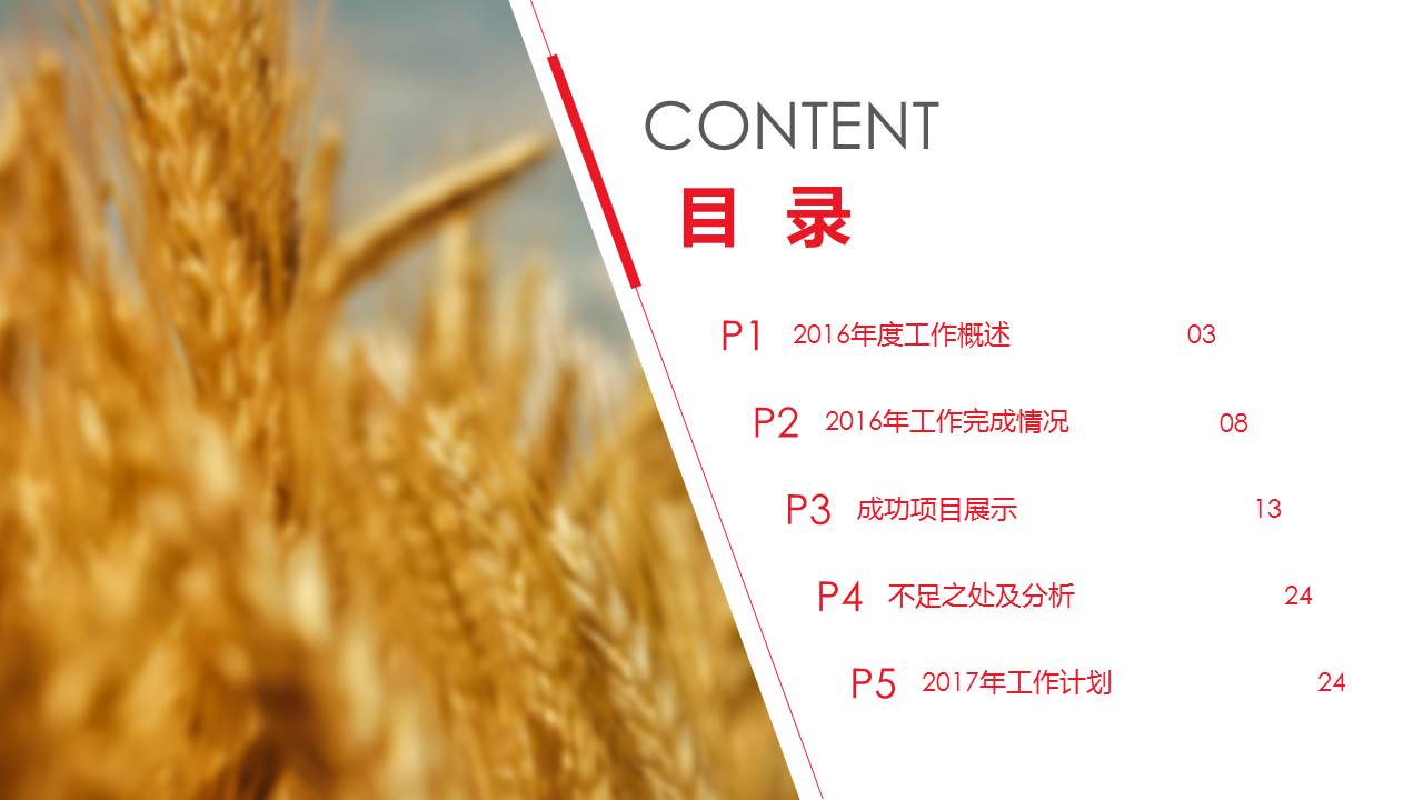 2017个人年终总结ppt模板