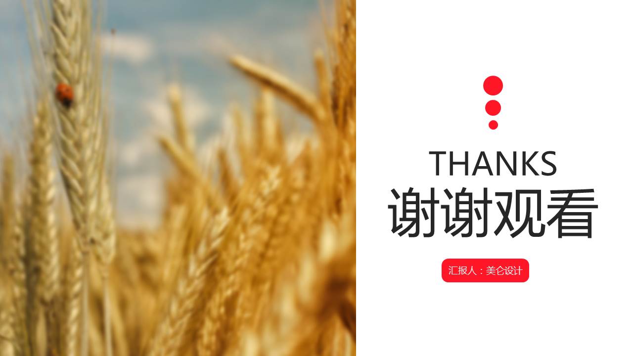 2017个人年终总结ppt模板