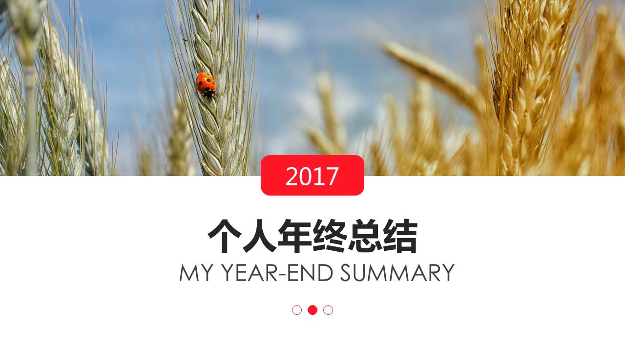 2017个人年终总结ppt模板