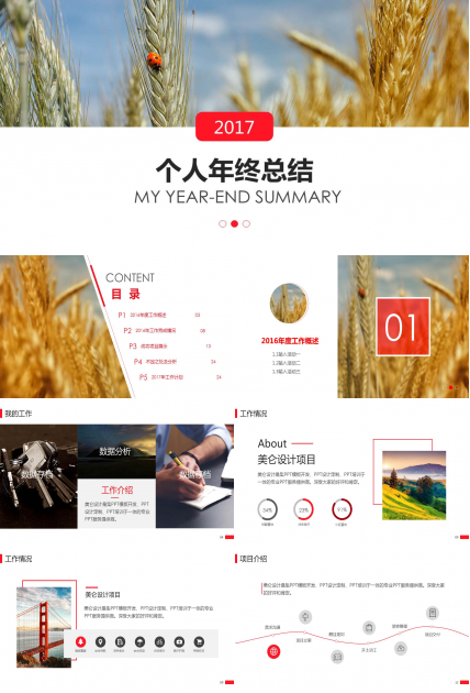 2017个人年终总结ppt模板