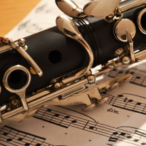 猪棚里猪叫的声音