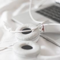 小狗汪汪的叫个不停