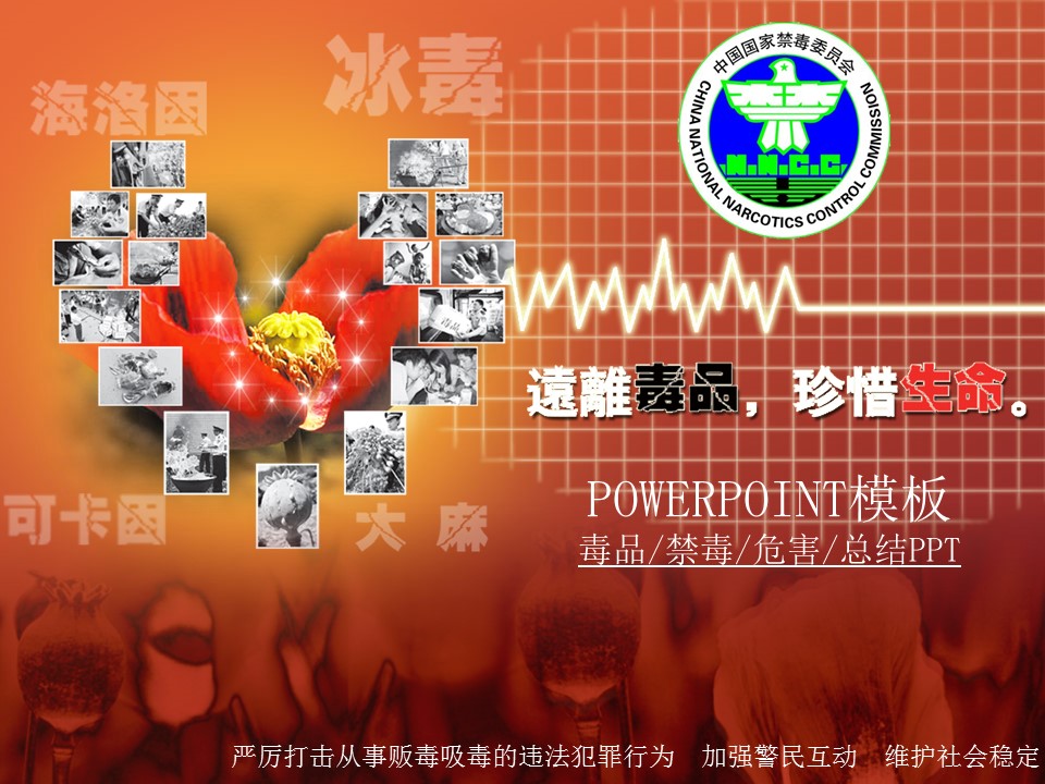 珍惜生命远离毒品禁毒社会稳定治安报告总结PPT模板