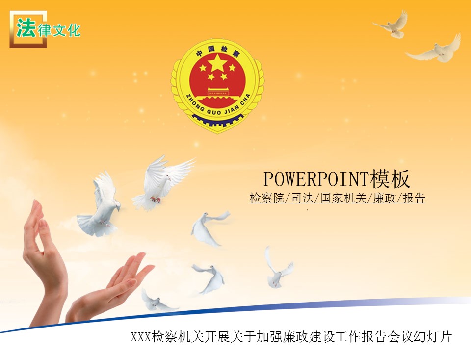 检察院司法国家机关公正廉明报告总结PPT模板