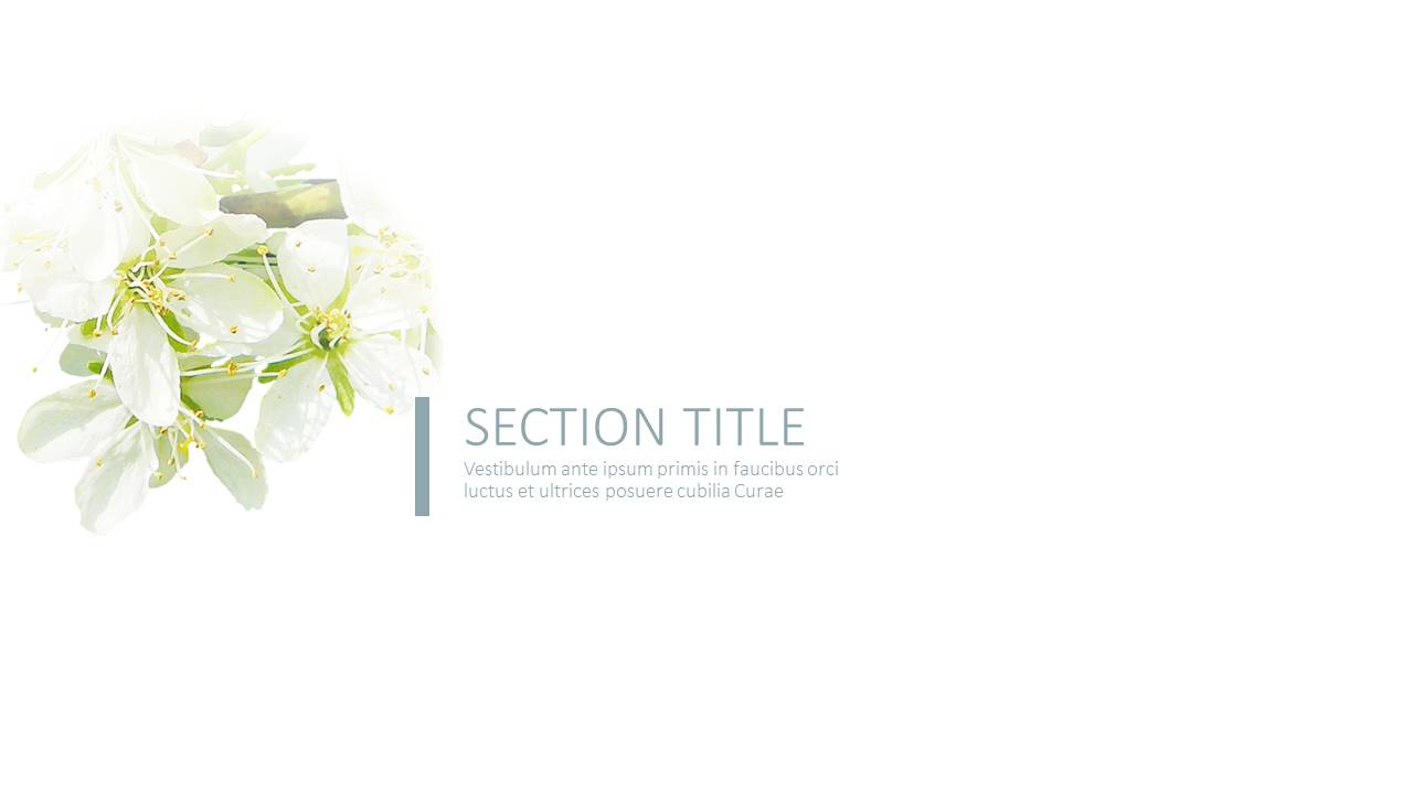 简约小清新文艺PPT模板