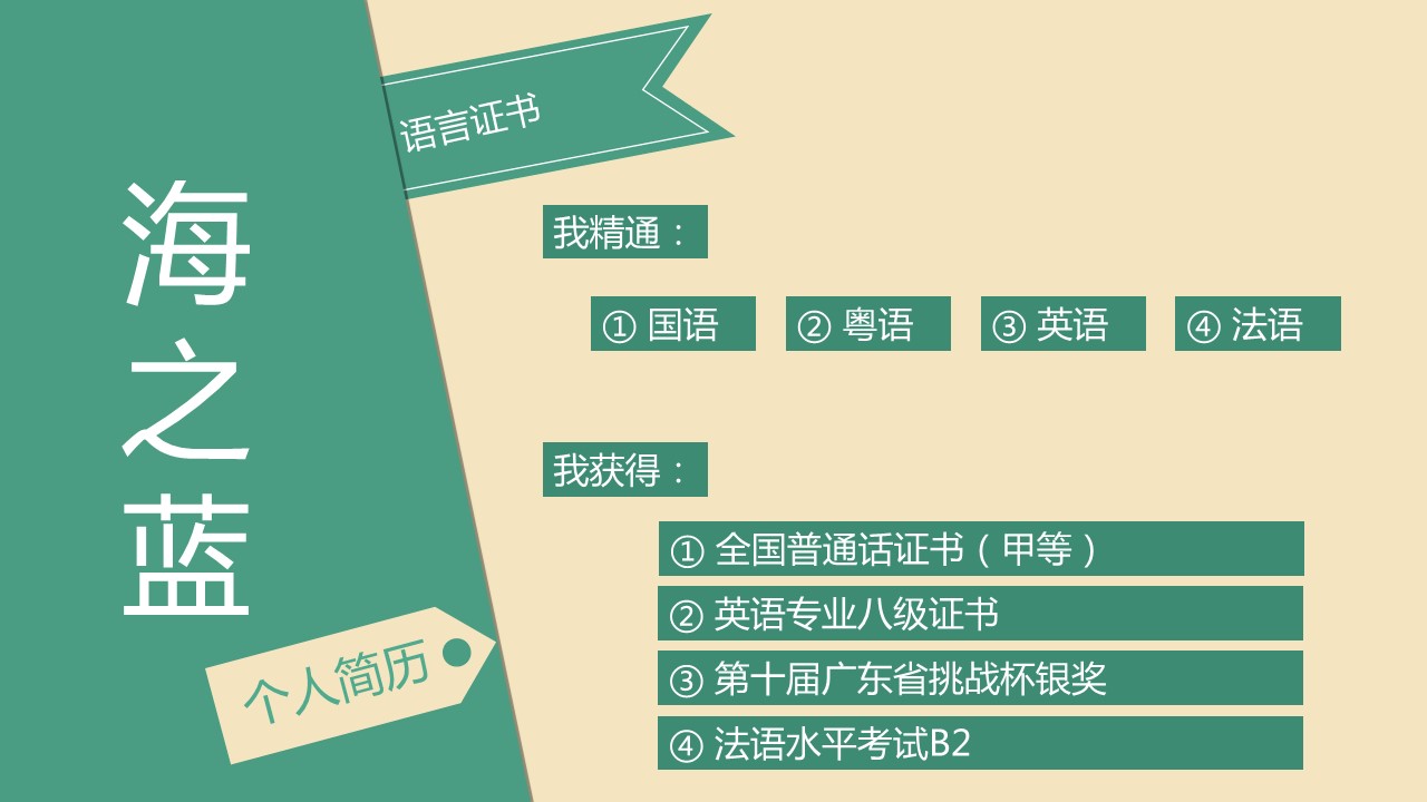 简单的色彩拼接简约个人简历PPT模板