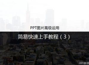 如何运用PPT图片教程