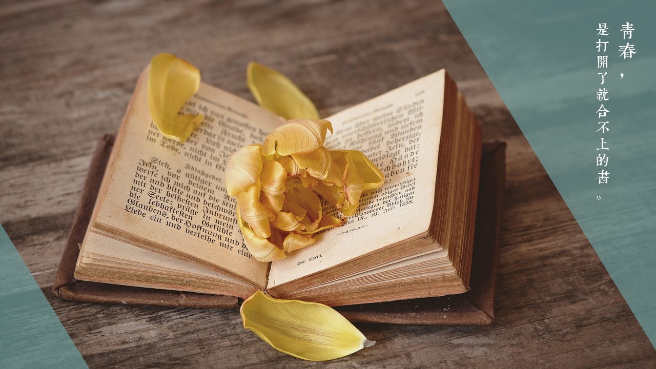 文艺唯美小清新同学聚会PPT模板