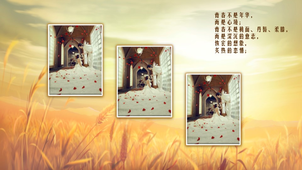 金黄色朝阳清新梦幻唯美同学聚会PPT模板