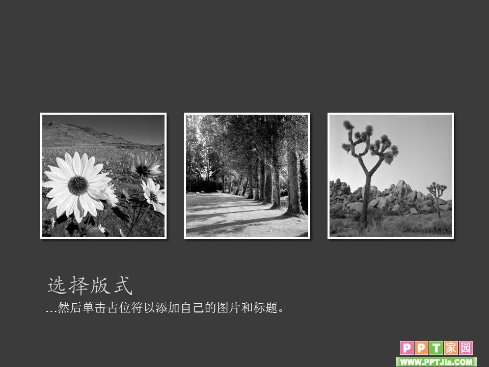 生活PPT模板——古典型相册