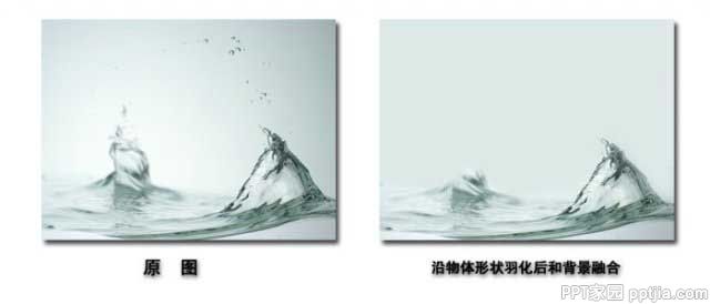 PPT中图片的处理方法