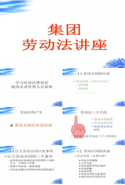 集团劳动法讲座PPT课件