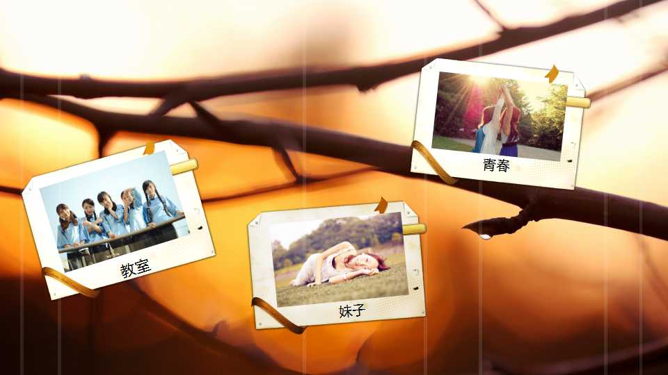 复古老照片落叶操场致青春PPT模板