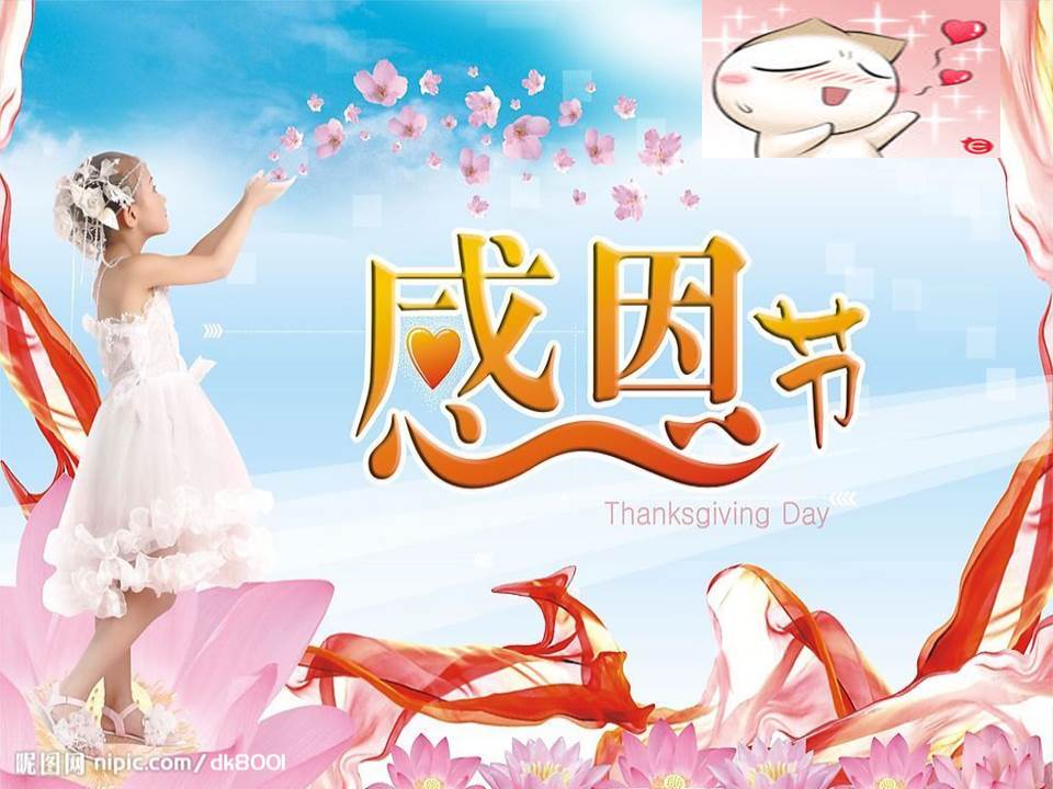 感恩节英语ppt模板