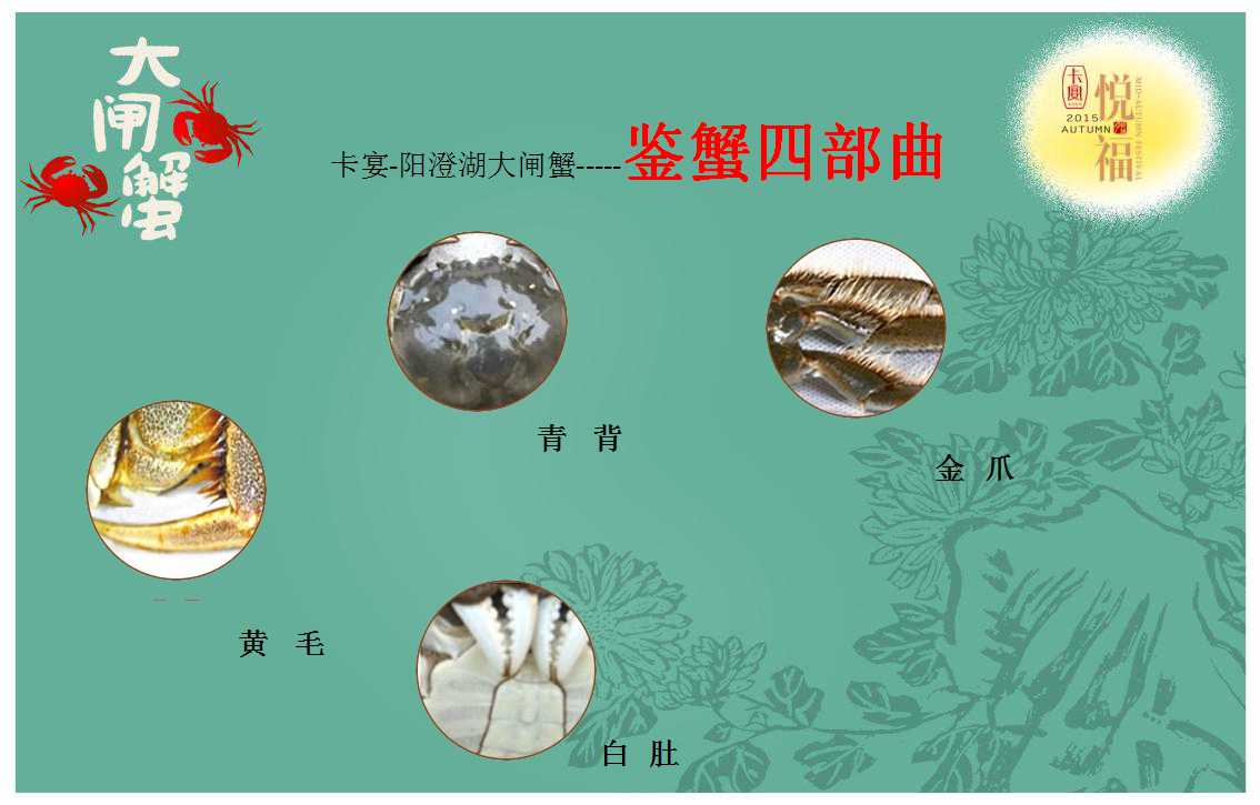大闸蟹创意宣传广告PPT模板