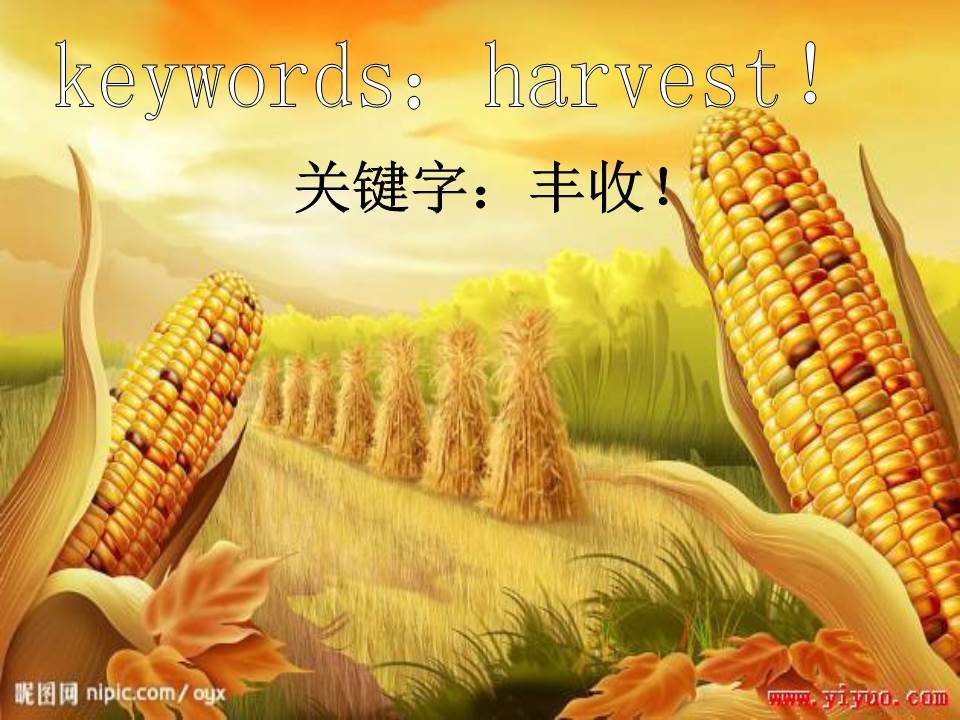 感恩节英语ppt模板