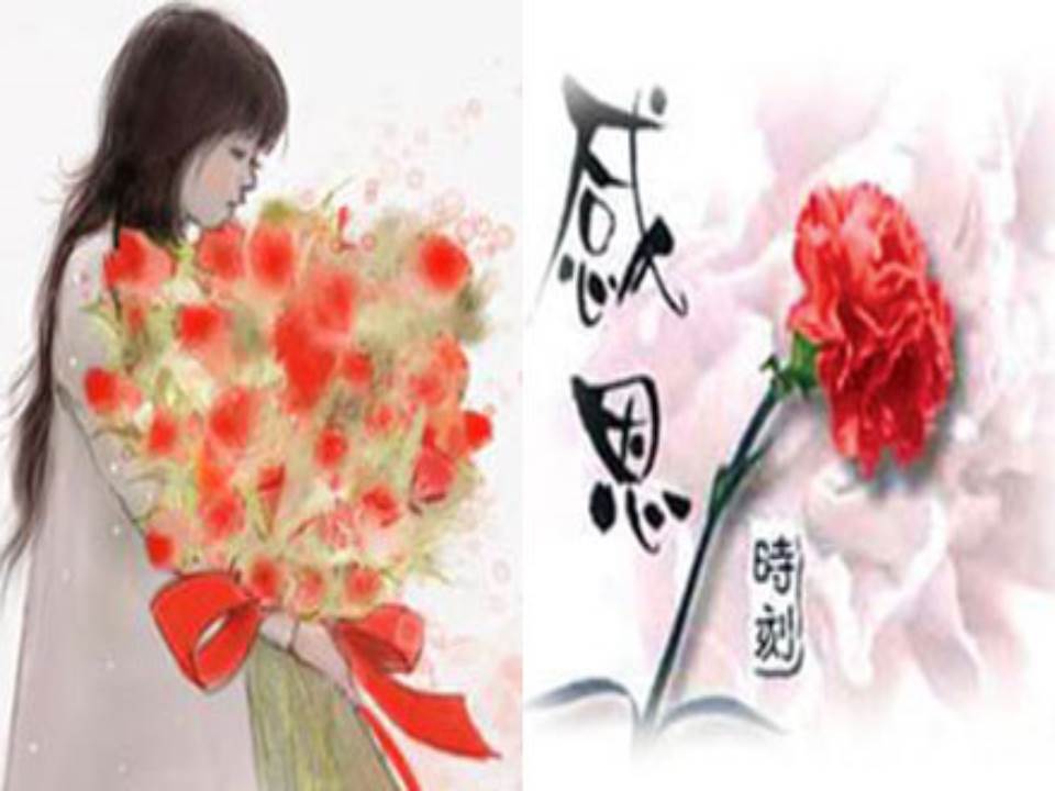 感恩节英语ppt模板