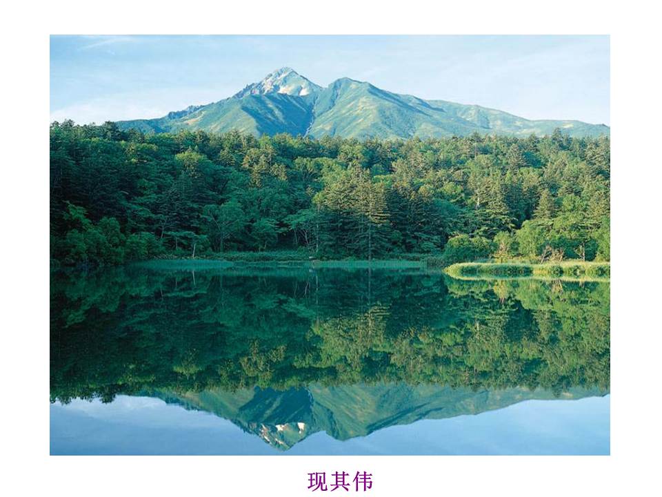 语文教学课件ppt模板