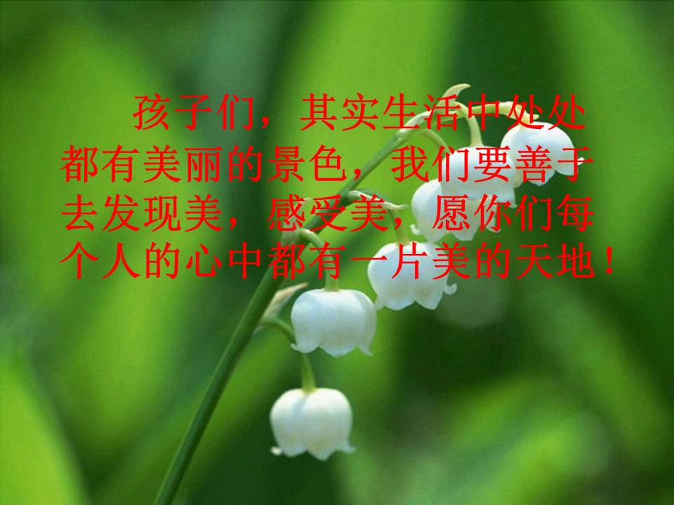 语文教学课件ppt模板