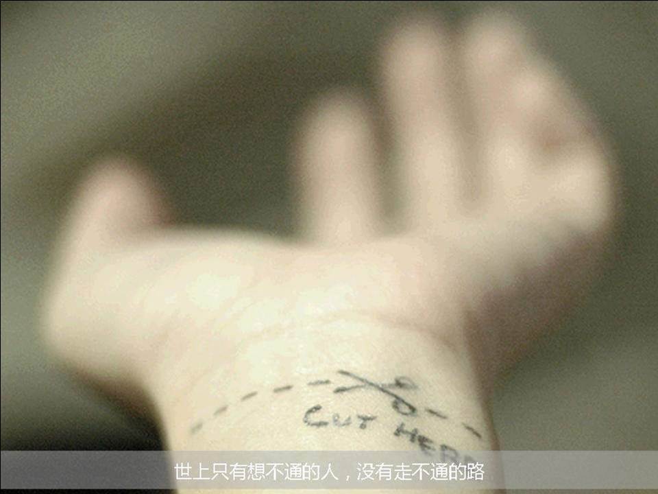 生活哲学教学PPT模板