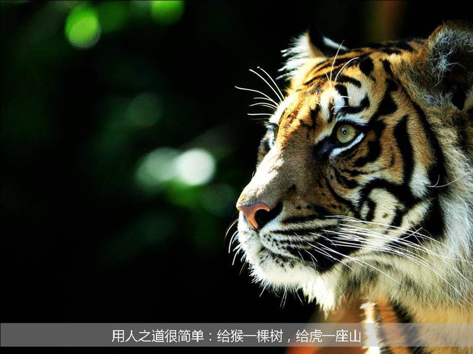 生活哲学教学PPT模板