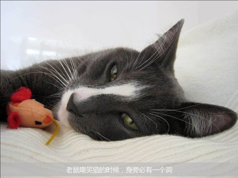 生活哲学教学PPT模板