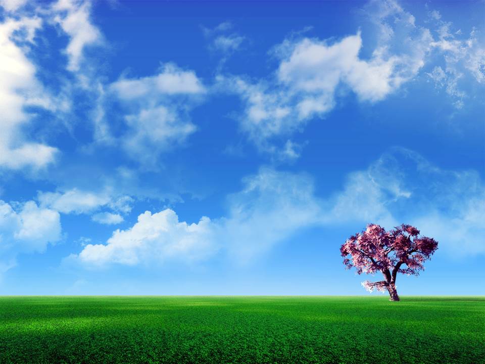 语文教学课件ppt模板