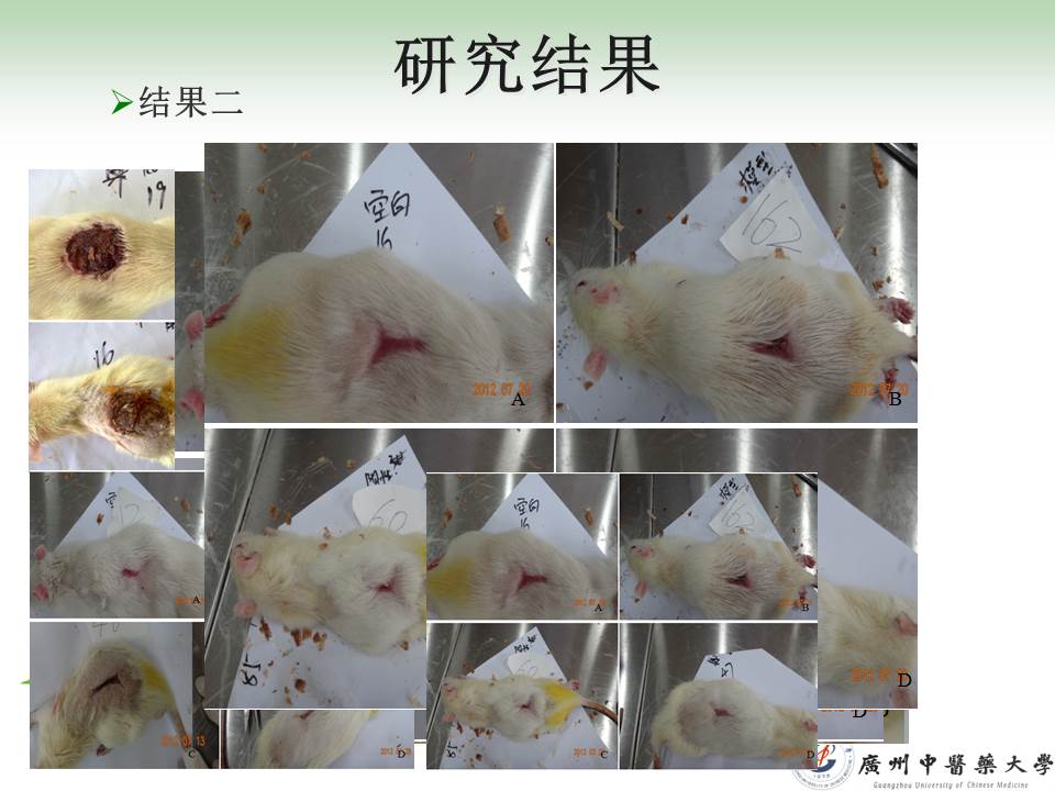 医学论文答辩ppt模板