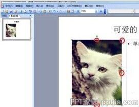 ppt2013怎么设置文字环绕效果?