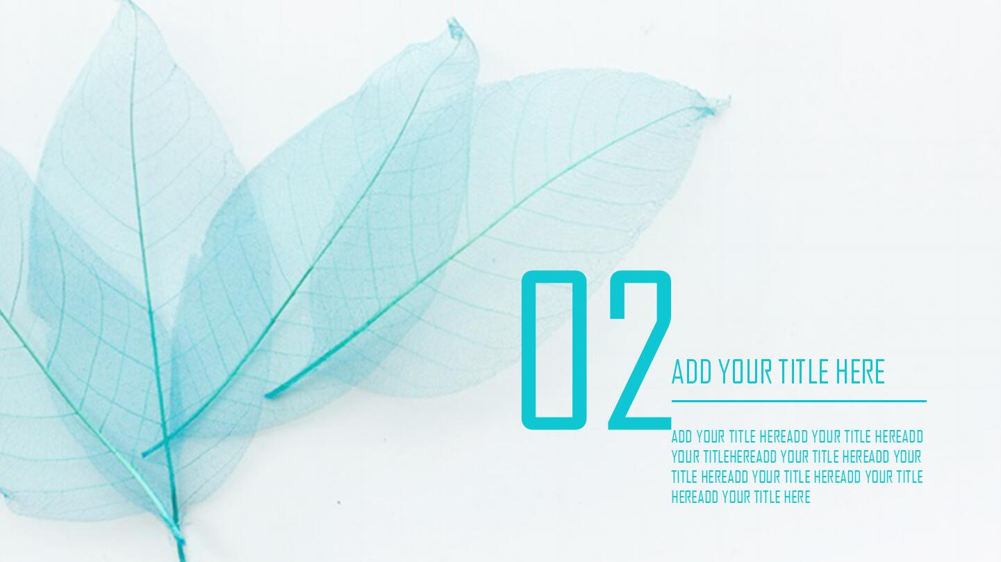 清新竞聘报告ppt模板