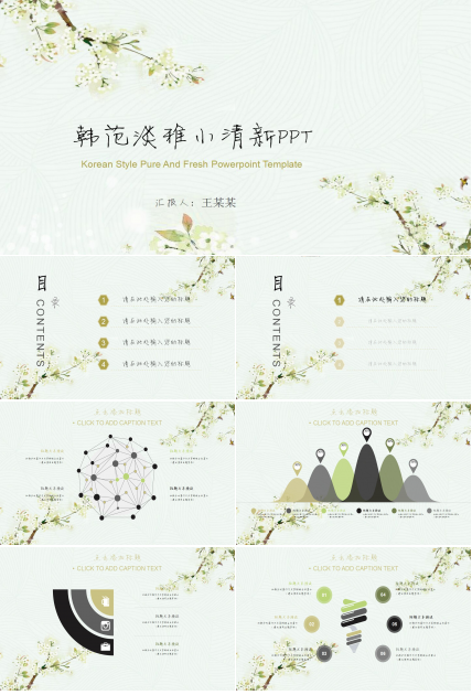 韩范淡雅小清新ppt模板