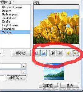 ppt幻灯片怎么批量导入图片？ppt批量照片导入方法