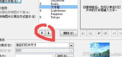 ppt幻灯片怎么批量导入图片？ppt批量照片导入方法