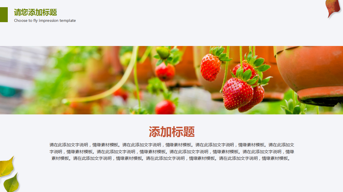 小清新简约商务通用树叶动态ppt模板