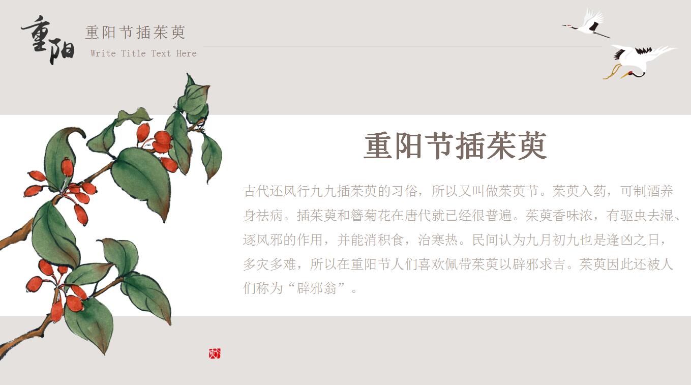 简洁清新重阳节主题教育ppt模板