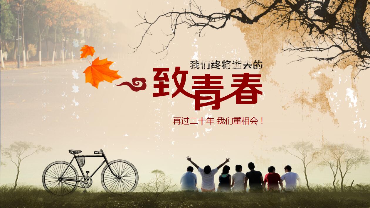 创意棕色精美20年同学聚会毕业怀旧ppt模板