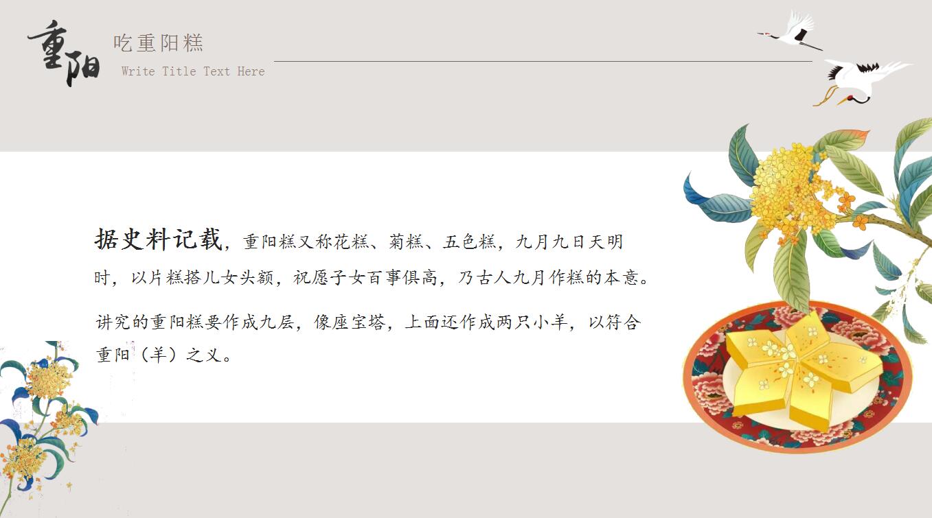 简洁清新重阳节主题教育ppt模板