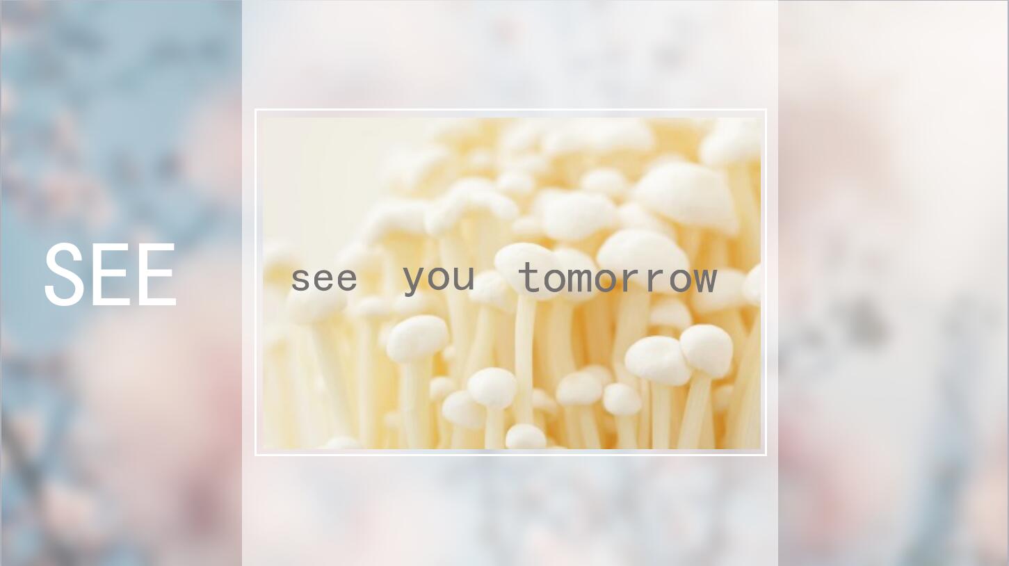 粉色朦胧文艺素雅ppt通用模板