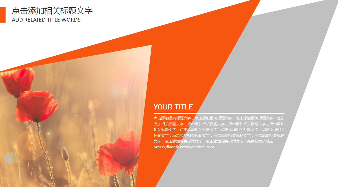 唯美简约关爱空巢老人公益ppt模板