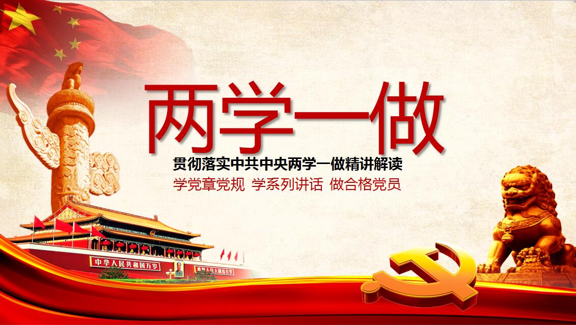 红色时尚大气两学一做精讲解读PPT模板