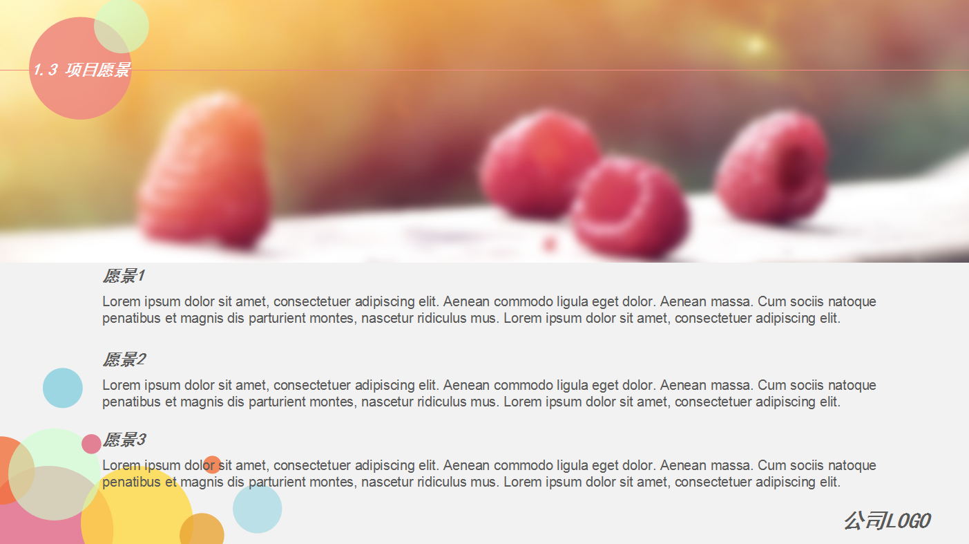 彩色圆圈小清新简约商业计划书ppt模板