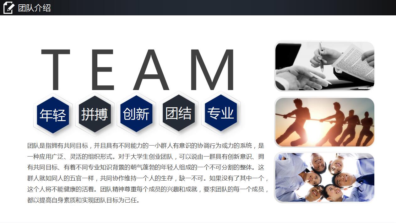 精美高端大气企业文化宣传项目计划书ppt模板