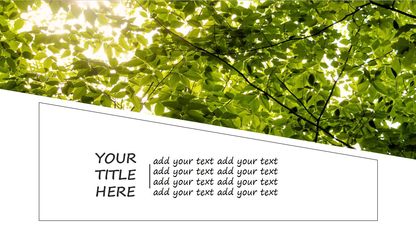 绿色树叶文艺唯美PPT通用模板