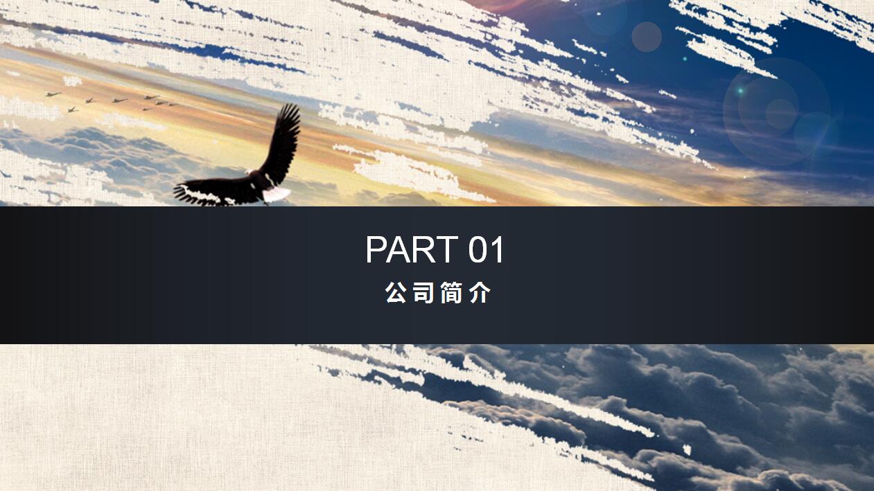 精美高端大气企业文化宣传项目计划书ppt模板