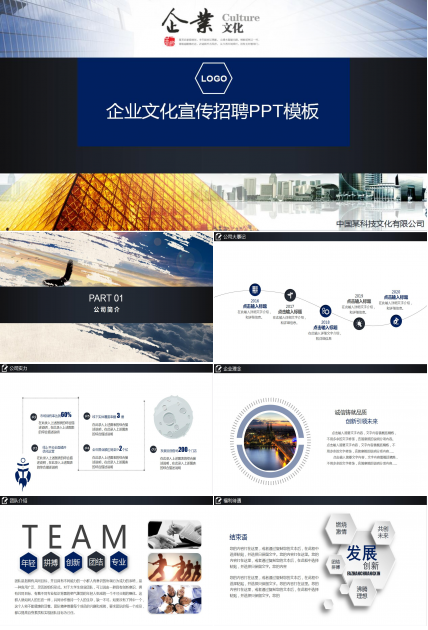 精美高端大气企业文化宣传项目计划书ppt模板