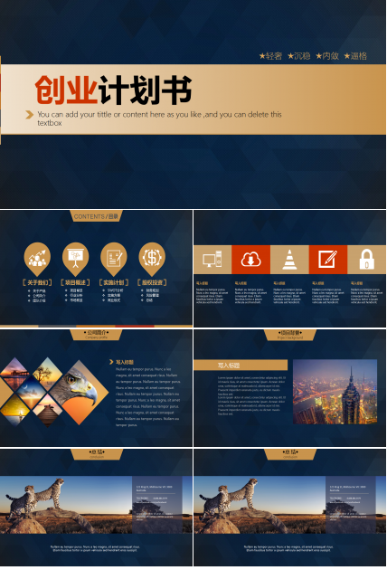 精美大气简约商务高端创业计划书ppt模板