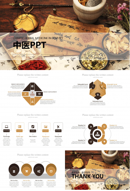 简洁大方英文中医年度工作总结ppt模板