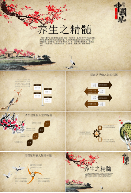 精美传统古典中国风中医养生ppt模板