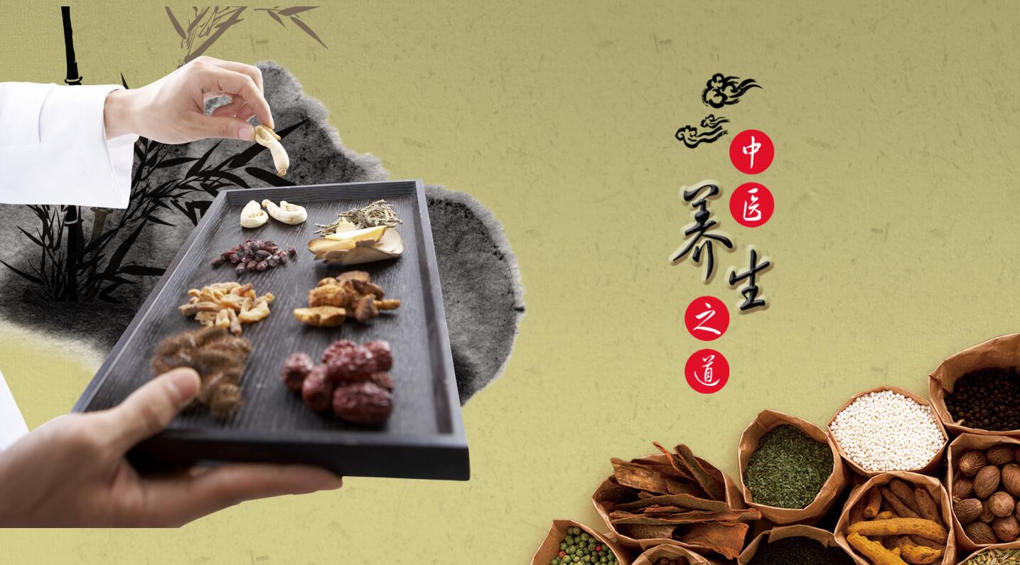 精美简约古典水墨中医养生工作总结ppt模板